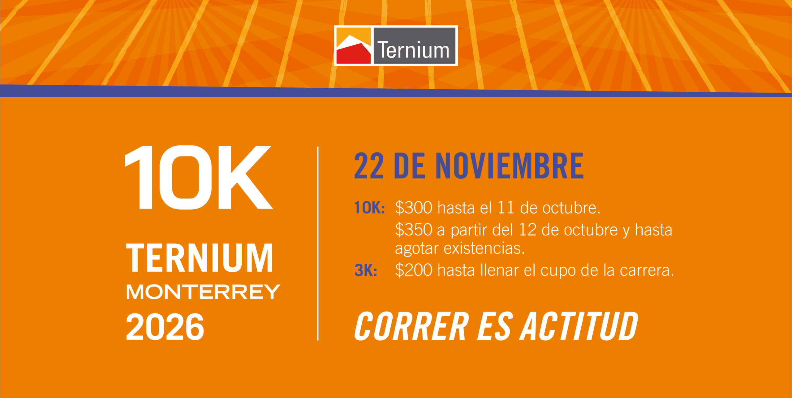 10K Ternium 2026